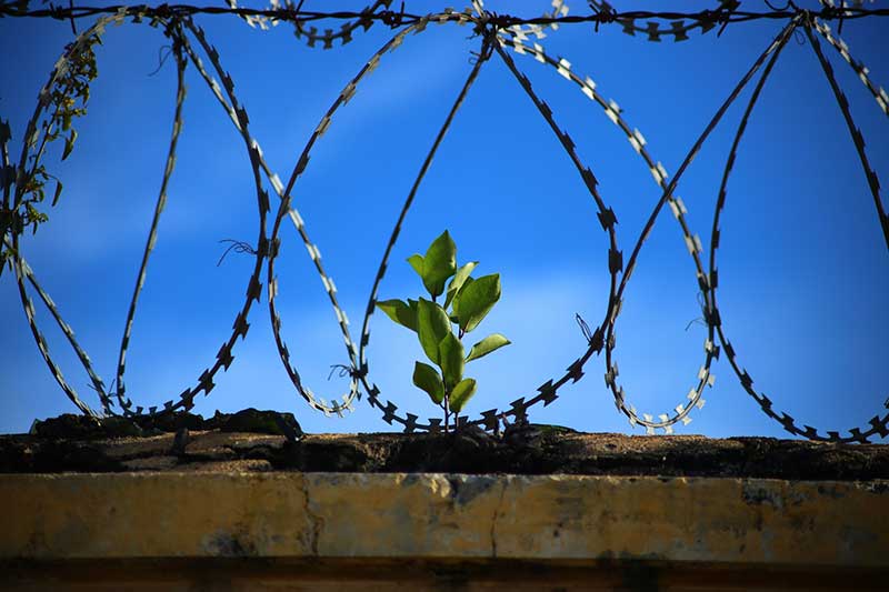 Prison Inmates Garden To Grow.