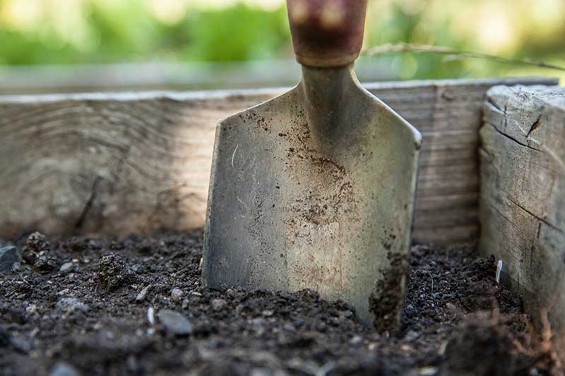 Common Fall Gardening Mistakes